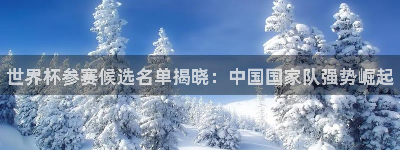 足球世预赛：世界杯参赛候选名单揭晓：中国国家队强势崛起
