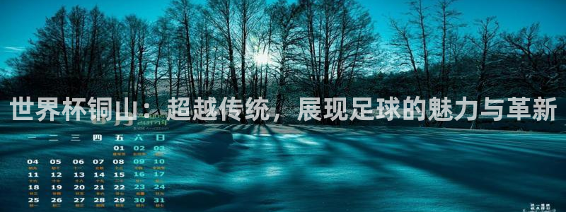 今年的世界杯：世界杯铜山：超越传统，展现足球的魅力与革新