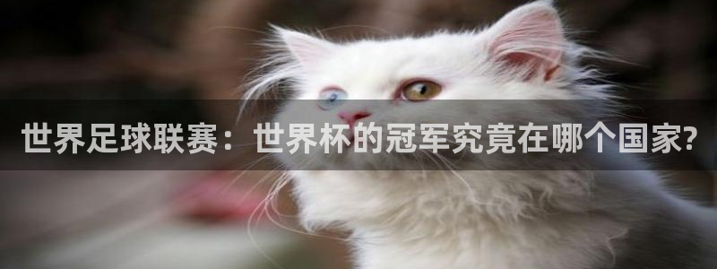 女足世界杯直播：世界足球联赛：世界杯的冠军究竟在哪个国家?