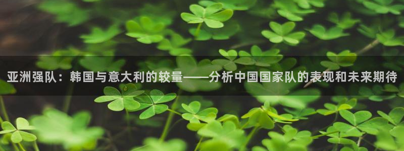 世界杯足球赛2026赛程时间：亚洲强队：韩国与意大利的较量——分析中国国家队的表现和未来期待