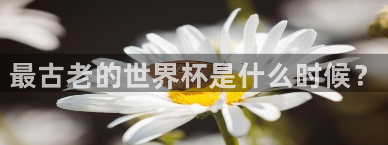 世界杯欧洲区预选赛赛程：最古老的世界杯是什么时候？