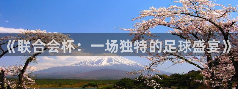 世界杯 赛程：《联合会杯：一场独特的足球盛宴》