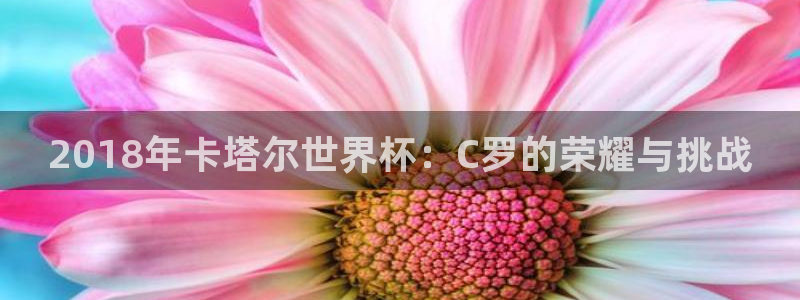欧洲世界杯预选赛：2018年卡塔尔世界杯：C罗的荣耀与挑战