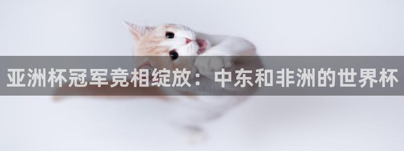 预选赛世界杯：亚洲杯冠军竞相绽放：中东和非洲的世界杯