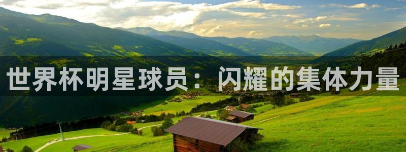 2026年世界杯对阵图：世界杯明星球员：闪耀的集体力量