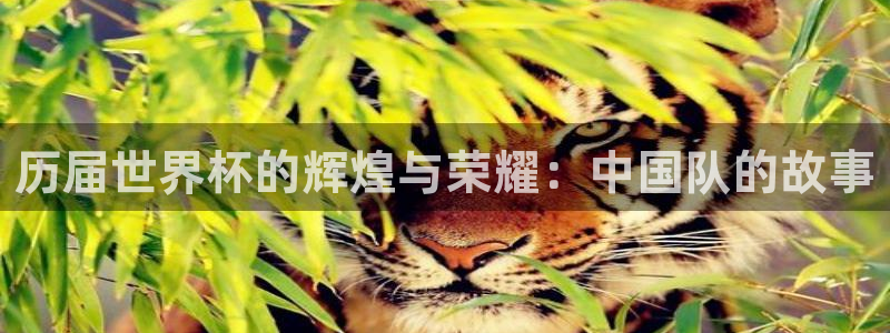 2026年世界杯：历届世界杯的辉煌与荣耀：中国队的故事