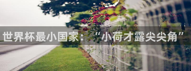 欧洲世界杯预选赛：世界杯最小国家：“小荷才露尖尖角”