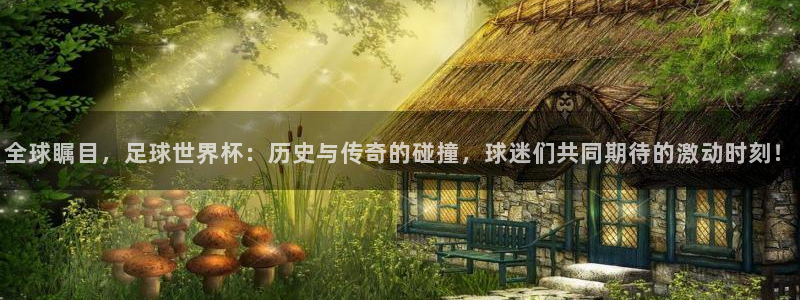 2026世界杯直播免费观看：全球瞩目，足球世界杯：历史与传奇的碰撞，球迷们共同期待的激动时刻！