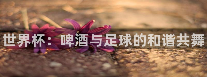 亚洲杯足球：世界杯：啤酒与足球的和谐共舞
