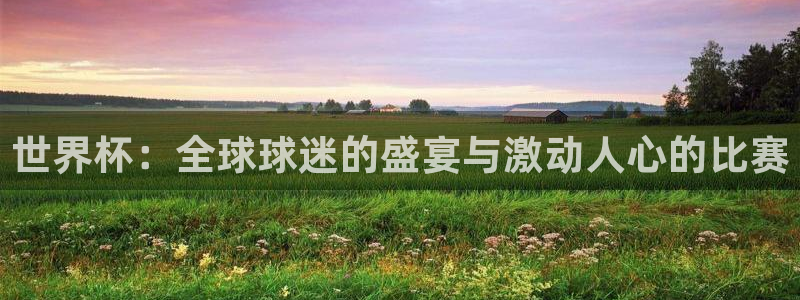 2026年世界杯直播平台：世界杯：全球球迷的盛宴与激动人心的比赛