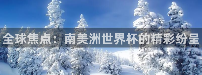 世界杯预选赛赛程表：全球焦点：南美洲世界杯的精彩纷呈
